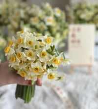 人一旦把注意力放在自己身上的時候，整個人是散發著光芒的，散發著吸引力的。配圖