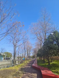 人生在世，總免不了會與人發生摩擦，與別人意見相左時，智者往往先處理心情，再處理事情；先分析心態，再分析事態。配圖