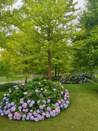 家附近有一所很大的公園，綠化特別好，樹多、花朵，天然的氧吧。
跑步時，我感受到風吹過臉頰的舒爽感，鳥鳴聲不絕于耳，花香沁人心脾，沉浸其中，身心愉悅，這種美好舒服的感覺讓我不由自主的每天早上都會來到這里鍛煉。
所以， 增強感受性，做一些能讓我們體會到美好、舒服感覺的事情可以激發我們內在的動力。配圖