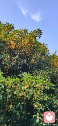 或許此時此刻的你有很多話無法跟家人朋友表達，你可以找我我，可能我不是一個很好的開導者，但我會是一個很好的
傾聽者。
        這個世界總對別人有很多偏見，但他們從不要求自己。
        喜怒哀樂都可以分享給我，一個可以當你情緒垃圾桶的舒凡。配圖