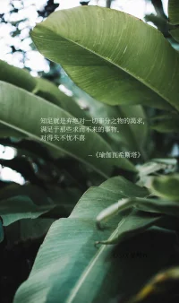 知足就是棄絕對一切非分之物的渴求，
滿足于那些求而不來的事物，
對得失不憂不喜

----《瑜伽瓦希斯塔》配圖