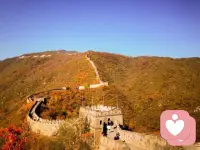 凡是负能量的东西，都不要去回应，回应就会与之纠缠，纠缠就会受其损耗。只要内心不接应，所有恶念都将原路返回。