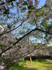 心理治疗的主要目的，
并不是使人进入一种不可能的
幸福状态～
而是帮助他们树立一种面对苦难
哲学式的耐心和坚定。
      
                                   ——荣格