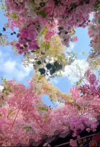 你呀你
别再关心灵魂了，那是神明的大事
你所能做的，是些小事情
诸如热爱时间，思念母亲
静悄悄地做人，像早晨一样清白。

                                         ——海桑