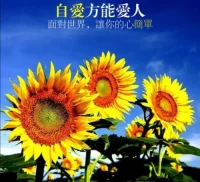 自愛(ài)的三個(gè)原則：
一、尊重自己的感受。
任何一段關(guān)系中，把自己感受放在第一位，不是自私，是自愛(ài)。
二、全然接納自己。
允許自己有問(wèn)題，犯錯(cuò)，不抓著自己的問(wèn)題不放。
三、有邊界感。
傷害我，越過(guò)我的邊界不接受。配圖