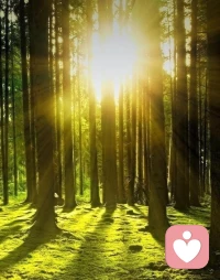 生命必须有裂缝，阳光才能照进来。配图