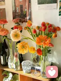 不要高估自己和任何人的關(guān)系，更不要低估人性的逐利規(guī)則。任何時(shí)候不要去賭人性。別覺(jué)得自己是個(gè)例外，是個(gè)特殊，要做好輸?shù)臏?zhǔn)備。親疏有度，遠(yuǎn)近相安，邊界感是一個(gè)成年人最好的修養(yǎng)。配圖