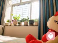 早安！用清晨的第一缕阳光祝福你，愿你的一天事事顺心，好运连连！配图