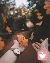 人生最重要的不是快樂，是平靜。如果你祈求一個每天都快樂的人生，那樣的人生是無法過下去的。情緒來來去去。人生如果希望每一秒都快樂，最后那個快樂就會沒有意義。配圖