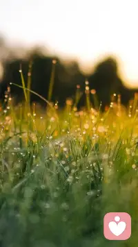 早安！即使是最微弱的光芒，也能照亮前行的方向，愿你的早晨充满阳光。配图