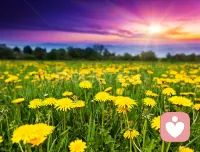 早安！即使是最微弱的光芒，也能照亮前行的方向，愿你的早晨充满阳光。配图