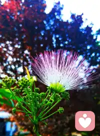 早安！即使是最微弱的光芒，也能照亮前行的方向，愿你的早晨充满阳光。配图