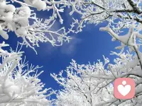 梦是愿望的满足。【弗洛伊德】配图