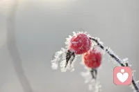 人与人相处和睦，最重要的一点是：不要拿自己的生活方式去要求别人。早安！配图