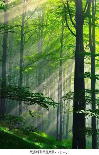 早上好，愿你的清晨被溫暖的陽光照耀，帶給你一整天的正能量。配圖