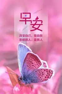 早安！愿你的今天比昨天更美好，愿你的明天比今天更燦爛。配圖