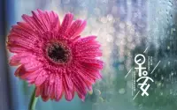 愿你眼有星辰大海，不染歲月風(fēng)塵；愿你心有繁花似錦，歸來不負(fù)韶華；愿你在新的一年里，仍有陽光滿路，溫暖如初。配圖