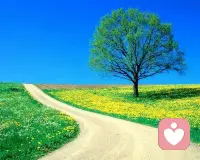 心靈是人生的航標(biāo)，不要讓陰霾遮擋你的方向，不要讓困難阻止你的前行。只有積極面對(duì)，才能找到成功的路。配圖