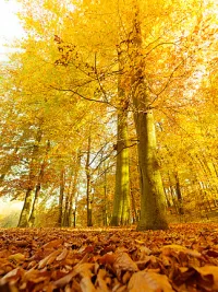 永遠(yuǎn)不要因?yàn)樯羁喑艞壸约海?dāng)你知道人生的意義就是為了體驗(yàn)一把那種苦楚的時(shí)候，你才會(huì)懂得什么叫做幸福感。配圖