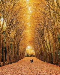 永遠(yuǎn)不要因?yàn)樯羁喑艞壸约海?dāng)你知道人生的意義就是為了體驗(yàn)一把那種苦楚的時(shí)候，你才會(huì)懂得什么叫做幸福感。配圖