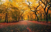 永遠(yuǎn)不要因?yàn)樯羁喑艞壸约海?dāng)你知道人生的意義就是為了體驗(yàn)一把那種苦楚的時(shí)候，你才會(huì)懂得什么叫做幸福感。配圖