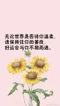 生活， 一半是回憶， 一半是繼續。 把所有的不快給昨天， 把所有的希望給明天， 把所有的努力給今天。配圖