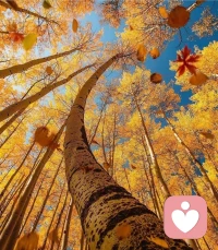 [愛心]
不是得到，就是學(xué)到。
來(lái)到你身邊的人和事都是來(lái)成全你的，
每一次相遇，每一份遺憾都有意義。
?配圖