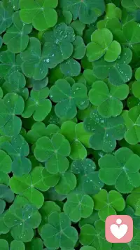 人的一生如果只有成功，沒有失敗，或一直只有快樂，沒有苦痛的話，乍聽之下似乎令人羨慕，但是細想下，且不說根本不可能有這樣的事，若真的如此，那人的生命該是何等的單薄！
? ? ? ?其實，正是因為有了黑夜，白晝才顯得那么明媚；
正是因為有了深谷，高山才顯得那么雄偉；
經過了重重的挫折，成功才覺分外寶貴；
跌倒過，才會懂得包容、理解，才知道自己的本來面目，才學會了仰望、跟隨。

       生老病死才是人生，五味雜陳才是生活。
有很多時候，痛比喜厚重，哭比笑深刻，雖然我們不愿主動追求前者，但是這些都是早已備妥的，就在路上等著你我他

輕裝上陣，方能從容不迫配圖