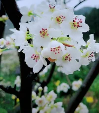 缘分本来就稀薄寡淡 
相伴一程已是万分感激
只要同行的时候是快乐的 就是好的相遇 
至于怎么走散的并不重要