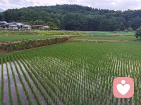 【說到做到！教你三步擺脫力不從心】
 
你時常心有余而力不足，總是沒有辦法往想要的目標前進嗎？
 
你時常想到阻礙與限制，預設目標很難達成，而選擇放棄嗎？
 
一、覺察與檢視讓自己力不從心的思維：
 
自己有哪些自我設限的思維模式、會在何時出現？通常有以下四個特點：
 
預測失敗：「不可能、沒有用、很困難」
 
自我貶低：「我做不到、我沒有能力」
 
自我阻礙：「好麻煩、反正、但是、可是」
 
慣性拖延：「等一下、之后再做」
 
這些思維模式如何影響自己的行動？對自己造成怎樣的阻礙？
 
二、重新調整阻礙行動的負向思維：
 
1. 從「做不到」轉為「我可以」，我可以用哪些方式、現有的能力來幫自己達成目標？若當下有困難，可以預想：若擁有哪些能力或完成什么前置條件后，我就可以做到。
 
2. 從「有阻礙」轉為「如何克服阻礙」，當發現阻礙時不直接放棄，開始思考克服阻礙、解決問題、達到目標的方法。
 
3. 從「不合理目標」轉為「合理目標」，重新審視目標的合理性，當原定的目標太過困難，將目標調整到適切的程度，或是改為設定近、中、遠程目標，從能夠執行的目標開始執行，一步步達到最終目標。
 
三、停止畫地自限，開始做出行動：
 
1. 依據新的思考，做出與目標有關的行動，從跨出第一步開始，一步步往目標前進。
 
2. 當浮現「我做不到」的念頭時，回歸前兩個步驟，覺察并松動負向思維。