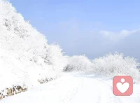 应是天仙狂醉，乱把白云揉碎配图