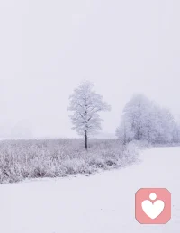 人间已冬，绝色倾城配图