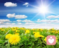 在這個世界上，你可能覺得虧欠了很多人，因此心中很愧疚。其實你真正虧欠的是你自己。你忽略了自己有多久呢？給自己一個擁抱，好好的愛自己。世界很喧囂，做自己就好！配圖