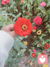 晚上回來的晚了，路過老爸的房間看見他醒著，我說這么晚了還沒有睡覺。他說我把他吵醒了，索性就嘮會嗑吧。愿您的余生一切安好！配圖