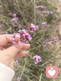 世界上你对得起很多人，唯独对不起你自己，你欠自己一个道歉。要先学会爱自己，爱满才能自溢。配图