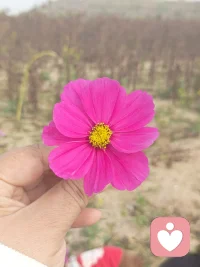 你想要人怎樣待你，你就要怎樣去對待別人。配圖