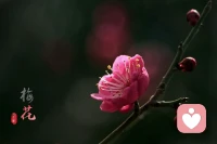 如果你不知道自己怎么活这一生，请你记住：“向死而生”!
因为从人生下那一刻就在不断的走向死亡，虽很残酷，但是事实。
知道你终将失去这短暂而宝贵的一生，你就知道，接下来要怎么度过你的每一天
修炼自己，成全自己，过好自己，有余力的话爱身边的人就行了。
王小波曾写过：“我生下来不是为了繁衍后代的”，我是为了要看花怎么开，
水怎么流，太阳怎么升起~！我要遇见一些有趣的人，经历一些事情，懂一点点道理！
既然我们终将失去这短暂的一生，所以请你不妨大胆一些，爱一个人，攀一座山！配图