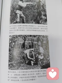 南京大屠杀1配图