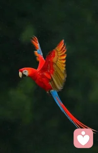 生活細碎，萬物成詩配圖