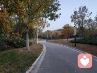 把自己隐藏起来是一种快乐，而不被发现却是一种灾难。配图