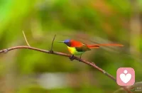 在人际关系中，
不管是过度融入还是逃避，
都是在试图摆脱孤独感。
但如果看不见其中的自己，
每次的融入和逃避，
都会让自己再次体会到孤独的无望。配图