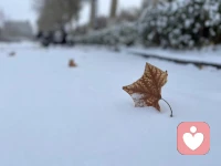冬天的雪是上帝撒向人间的诗
到了人间后化作春泥
一部分阻碍了路人的脚步
一部分掩盖了人间的萧瑟
爱它的人赞叹它的纯洁
恨它的人咒骂它的泥泞配图