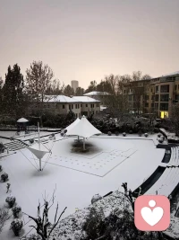 冬天的雪是上帝撒向人间的诗
到了人间后化作春泥
一部分阻碍了路人的脚步
一部分掩盖了人间的萧瑟
爱它的人赞叹它的纯洁
恨它的人咒骂它的泥泞配图