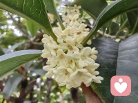 如果只是为了寻找某种刺激时，那么那种刺激便会等同于吸毒，一直让你深陷其中，无法自拔，最终被吸进深渊。但是，如果你想要让自己从泥潭里出来，你就需要有自救的意识。配图