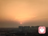 倾听你的声音。心了解所有事物，因为心来自世界之魂，总有一天会返回那里。配图