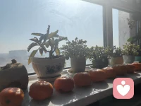 人类个体的生命过程没有现成的地方让我们开始或到达，也不存在一个早已被决定的人生历程，只有客观知觉性现实正在等待着我们去发现。配图