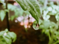 这个世界真正的自由，并不是什么事情都按我想的发生，而是他怎么发生我都可以接受，这是真正的强大和自由。配图