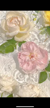 精神世界不平衡，心就特别疼

就算不是很忙，但也觉得很累.

容易烦燥，容易生病.

正事干不了，一直在消耗.....

要么外耗他人，硝烟四起，战火纷飞

要么内耗自己,精疲力竭,奄奄一息

人生体验非常糟糕

消极的,负面的.悲观的,痛苦的.蜂拥而至.

精神世界为什么会出现不平衡

因为早年有创伤性体验

比如缺少爱、缺少理解、缺少接纳，包括缺少食物，
当一个人缺少食物，人是很容易变疯狂的，

缺少陪伴  缺少支持  缺少力量

而我们现代很多人都是缺少食物的人的后代

可想而知 我们在精神上会继承什么呢



所以我们是幸运的

因为现在物质非常的丰盛

赶紧去修复创伤性体验

为自己,为下一代提供一个丰盛的精神环境

一个充满爱，充满理解，充满接纳

充满力量的精神环境,真的是太美好了