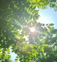 阳光的能量特别美

有没有觉得？
​
​我喜欢阳光，温暖的橙色，柔和的感觉

他就在我们身边的各处 各地角落里