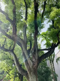 人在多大程度上不依赖于物质的东西，人就在多大程度上是自由的。所谓不依赖，在生存有保障的前提下，是一种精神境界。配图